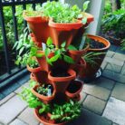 5-Tier-terracota.jpg