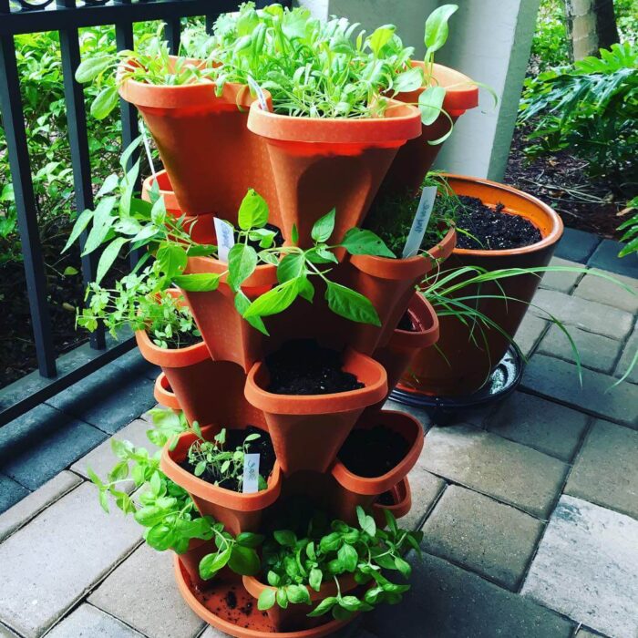 5-Tier-terracota.jpg
