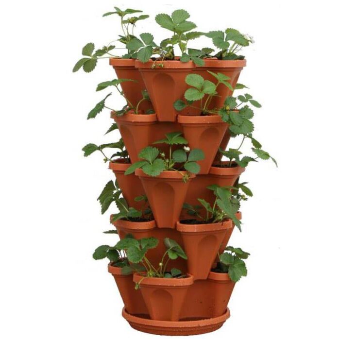 5-tier.jpg