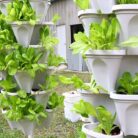 DIY-farm13.jpg