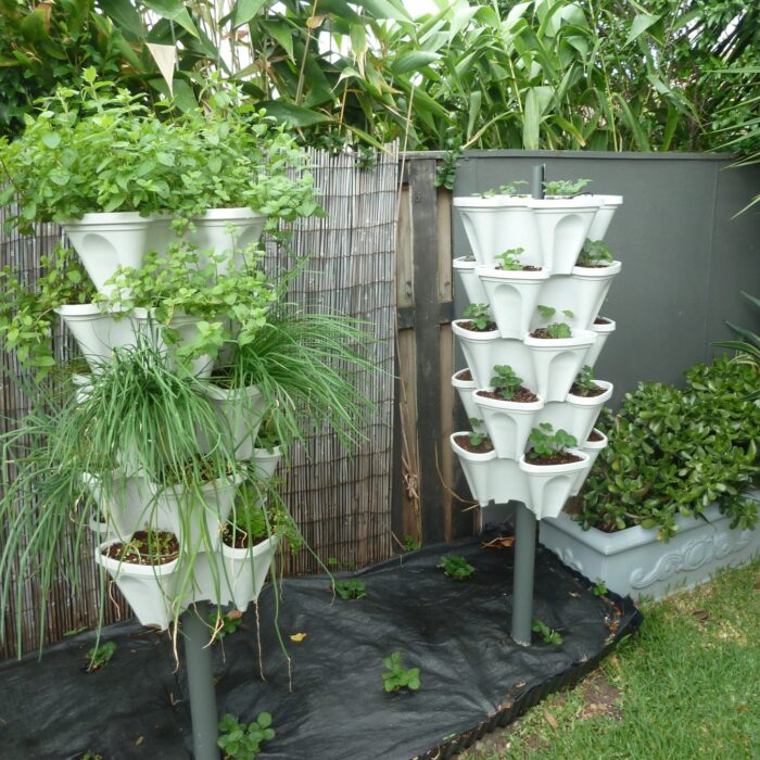 Mr-Stacky-tower-garden-no-hosing.jpg