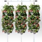 new-opt-72-plant-DIY-no-hydro-768x882-1.jpg
