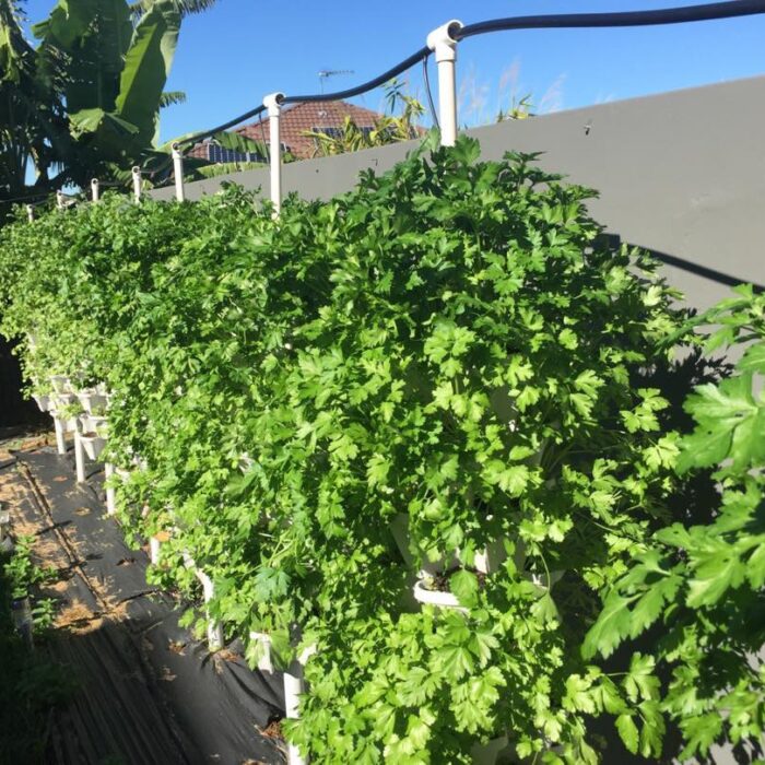 parsely-towers.jpg