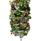 raised-strawberry-planter-stone.jpg