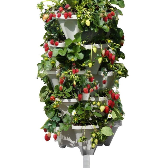 raised-strawberry-planter-stone.jpg