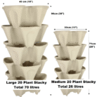 small-vs-large-5-pack-stone-004.png