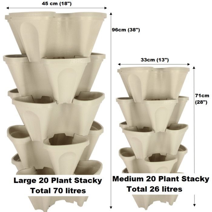 small-vs-large-5-pack-stone-004.png