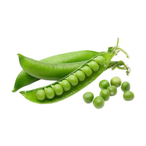 Green Peas Seeds Hybrids Vegetable